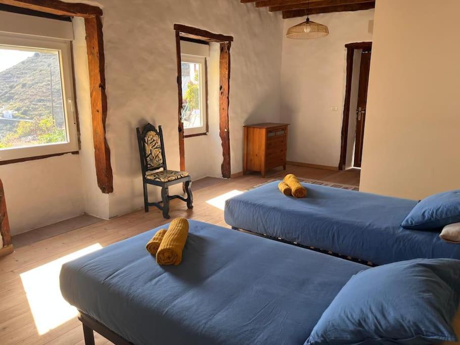 הוילה Sabinosa La Casa Del Aguacate מראה חיצוני תמונה